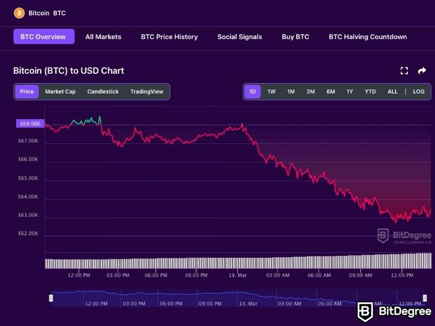 decoding-the-bitcoin-price-graph-a-comprehensive-guide