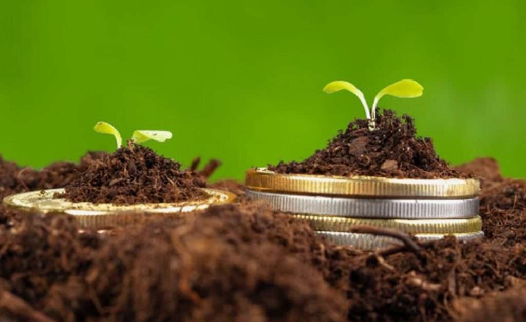 Farming and Restaking Made Easy: One Platform for Maximum Yield